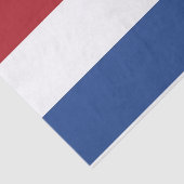 Patriottisch tissuepapier met vlag van Nederland (Detail)