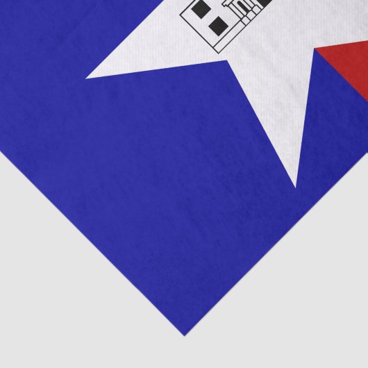 Patriottisch tissuepapier met vlag van San Antonio (Detail)