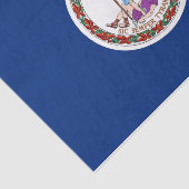 Patriottisch tissuepapier met vlag Virginia, Veren (Detail)