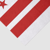 Patriottisch tissuepapier met vlag Washington DC (Detail)