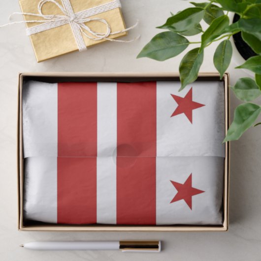Patriottisch tissuepapier met vlag Washington DC (Geschenk)
