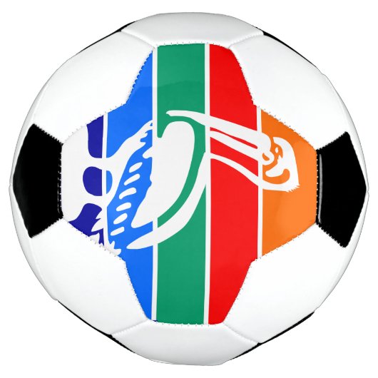 Patriottisch Voetbal met de vlag van Sint-Petersbu (Gedraaid)