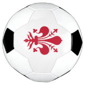 Patriottisch Voetbal met Florentijnse vlag, Italië (Gedraaid)