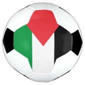 Patriottisch Voetbal met Palestijnse vlag (Gedraaid)