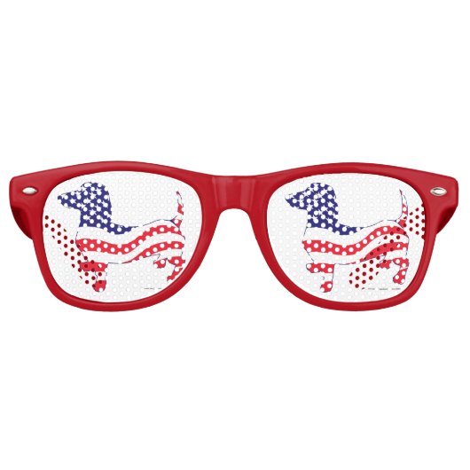 Patriottisch-Weiner Retro Zonnebril (Voorkant)