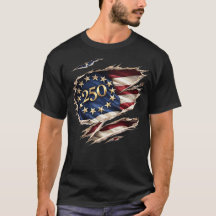 Patriottische 250 Americana Gescheurde Vlag Grafis