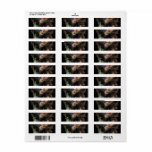 Patriottische 250ste Verjaardag Adelaar Kunst  Etiket (Full Sheet)