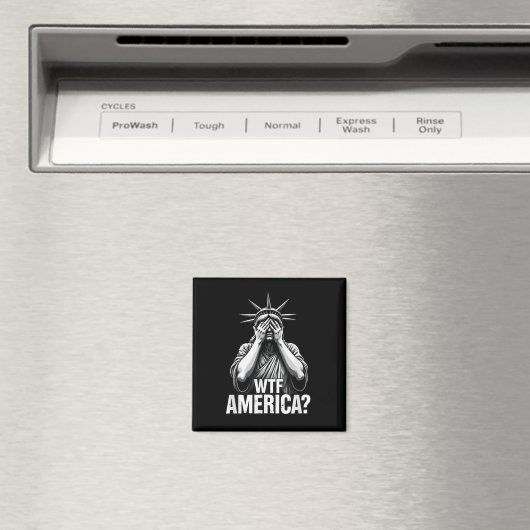 Patriottische 4th of July Vrijheidsbeeld WTF Ameri Magneet (Insitu (Vaatwasser))