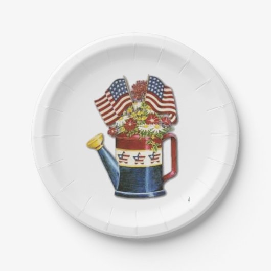  patriottische aanjager Weathered USA Flag Papieren Bordje (Voorkant)