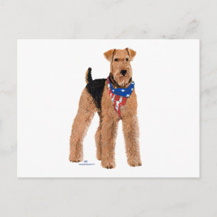 Patriottische Airedale Terrier Briefkaart