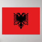 Patriottische Albanese vlag Poster (Voorkant)