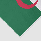 Patriottische Algerijnse vlag Tissuepapier (Detail)