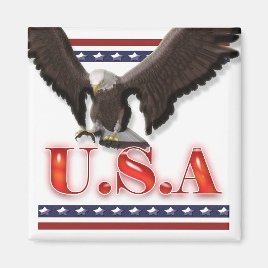 Patriottische Amerikaanse adelaar sterren strepen Magneet (Voorkant)