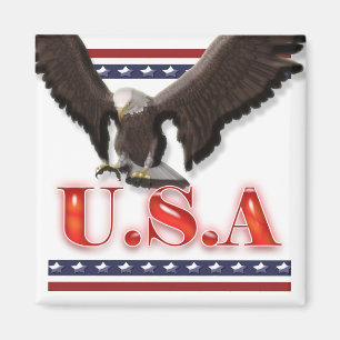 Patriottische Amerikaanse adelsterren Magneet