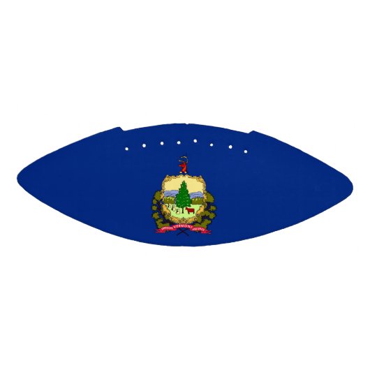 Patriottische amerikaanse football Vermont (Paneel)