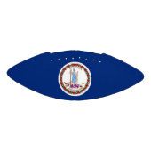 Patriottische Amerikaanse football Virginia (Paneel)