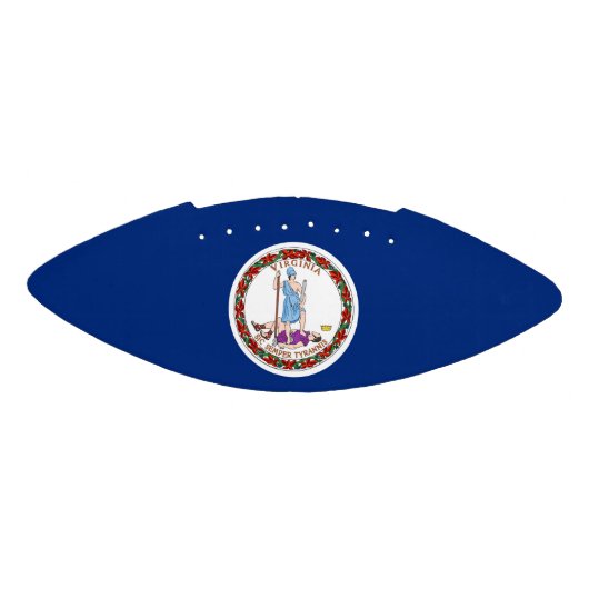 Patriottische Amerikaanse football Virginia (Paneel)