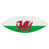 Patriottische amerikaanse football vlag van Wales (Paneel)