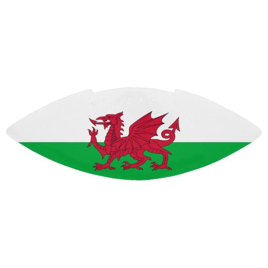 Patriottische amerikaanse football vlag van Wales (Paneel)