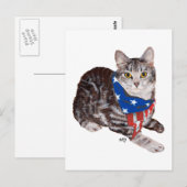 Patriottische Amerikaanse Korthaar Tabbykat Briefkaart (Voorkant / Achterkant)