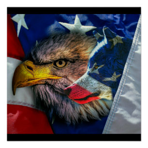 Patriottische Amerikaanse vlag Bald Eagle Wolf Perfect Poster