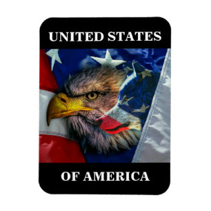 Patriottische Amerikaanse Vlag Steenarend Wolf Magneet