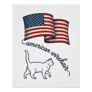 Patriottische Amerikaanse Wirehair Kat Vintage Ont Perfect Poster