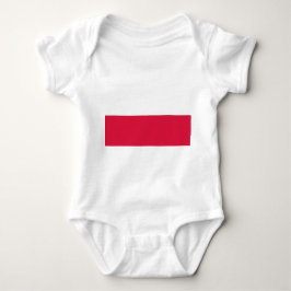 Patriottische baby bodysuit met vlag Polen