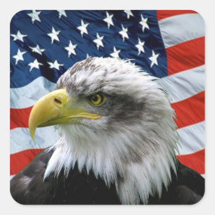 Patriottische Bald Eagle Amerikaanse vlag Sticker