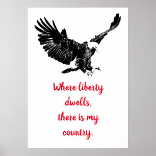 Patriottische Bald Eagle Motivatie Verenigde State Poster