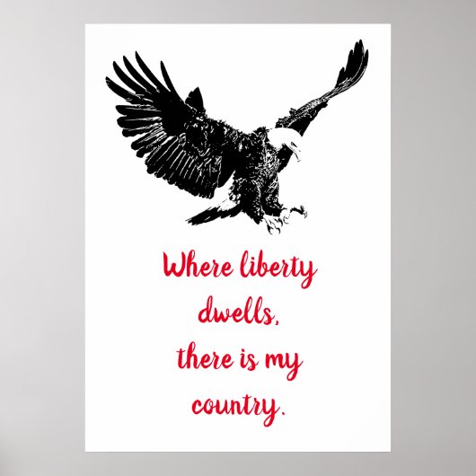 Patriottische Bald Eagle Motivatie Verenigde State Poster (Voorkant)