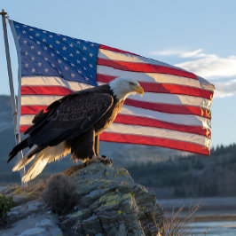 Patriottische Bald Eagle voor de Amerikaanse vlag Legpuzzel