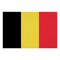Patriottische Belgische Vlag