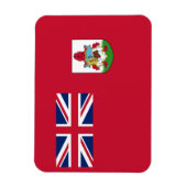 Patriottische Bermudavlagmagneet Magneet (Verticaal)