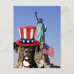 Patriottische bokser hond briefkaart