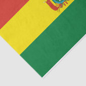 Patriottische Boliviaanse vlag Tissuepapier (Detail)
