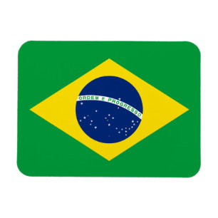 Patriottische Braziliaanse vlag Magneet