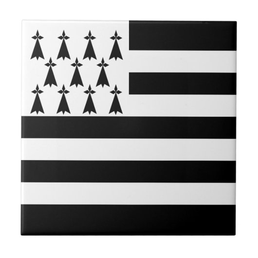 Patriottische Bretonse Vlag Tegeltje (Voorkant)