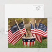 Patriottische Chipmunk Briefkaart (Voorkant / Achterkant)