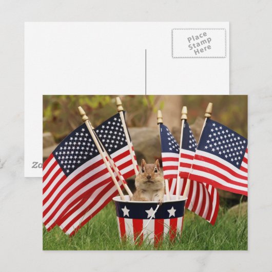 Patriottische Chipmunk Briefkaart (Voorkant / Achterkant)