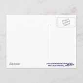 Patriottische Chipmunk Briefkaart (Achterkant)