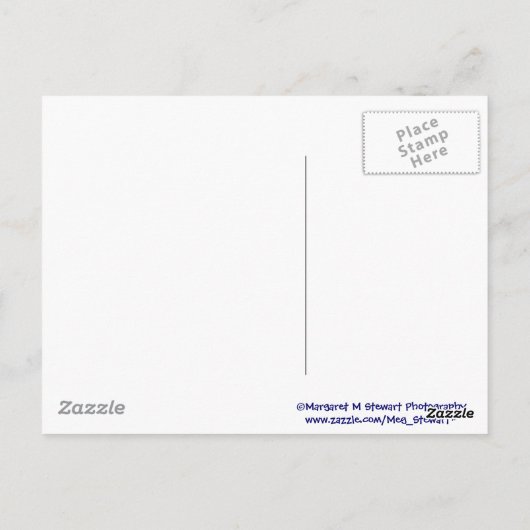 Patriottische Chipmunk Briefkaart (Achterkant)