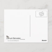 Patriottische Cirkel van Sterren Memorial Day Briefkaart (Achterkant)