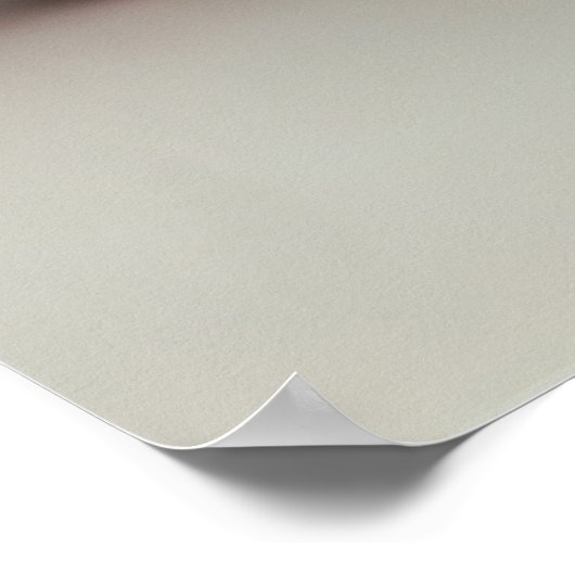 Patriottische cupcakes poster (Hoek)