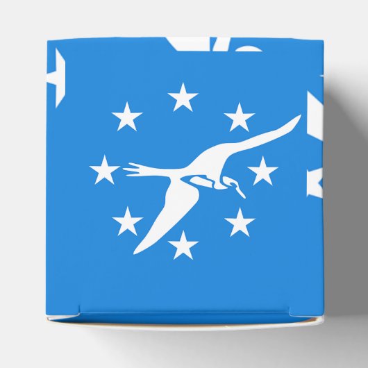 Patriottische doos met vlag van Corpus Christi Bedankdoosjes (Bovenkant)