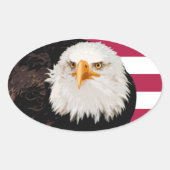 Patriottische Eagle American Flag Stripes Independ Ovale Sticker (Voorkant)
