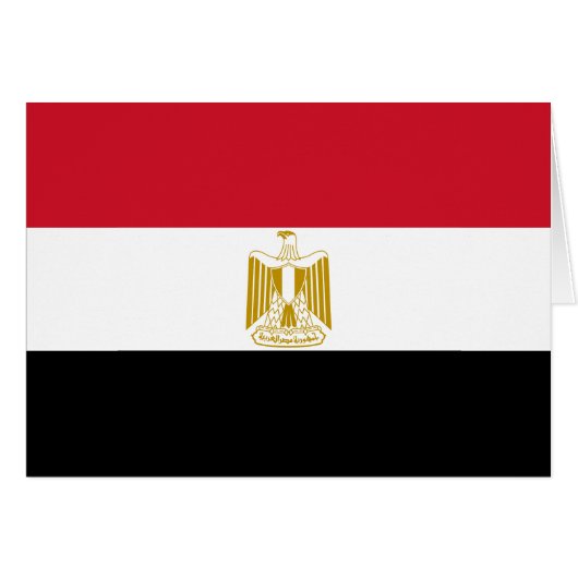 Patriottische Egyptische vlag (Voorkant Horizontaal)