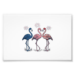Patriottische Flamingo Trio Vintage Gravure Design Foto Afdruk