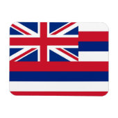 Patriottische flexibele magneet met Hawaii vlag (Horizontaal)