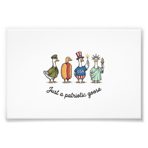 Patriottische Gans Vintage Gravure Grappige USA T- Foto Afdruk